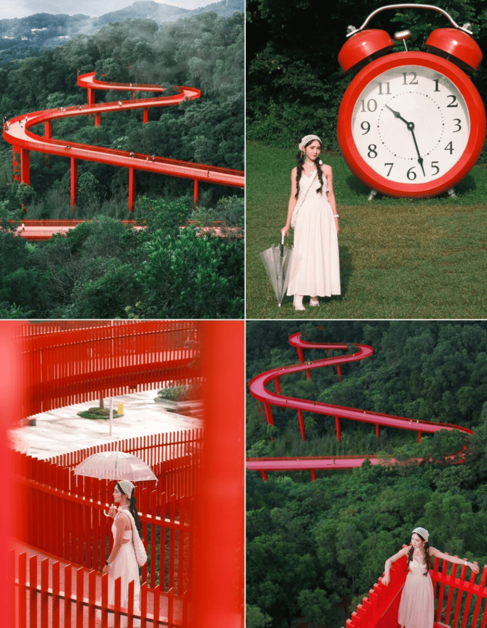 【光明區景點】3. 虹橋公園｜6.4公里森林棧道